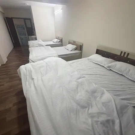 Double Tree 2